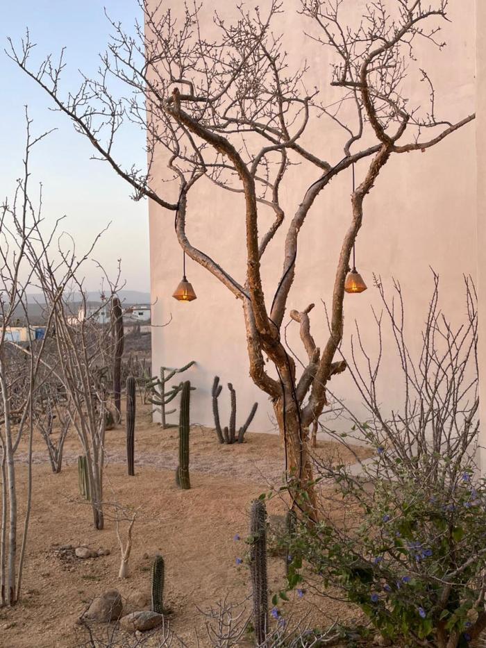 Casa Irimanju 25